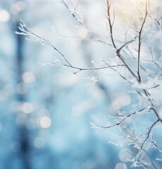 Fototapeta na wymiar Winter background with frosty branches and sunlight. Generative AI.