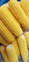 Fresh yellow corn cobs sold in traditional market Indonesia