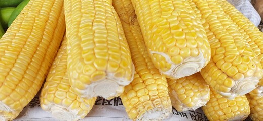 Fresh yellow corn cobs sold in traditional market Indonesia