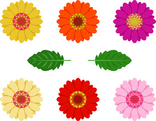 6色のガーベラの花と2種類の葉