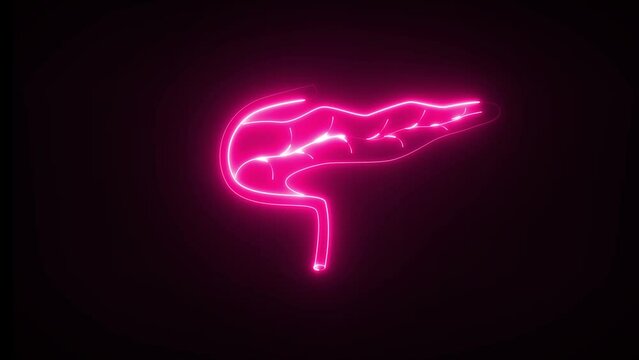 Neon pancreas. Pancreas has both endocrine and exocrine function. This produces so much alkaline fluid.