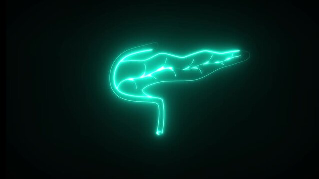 Neon pancreas. Pancreas has both endocrine and exocrine function. This produces so much alkaline fluid.