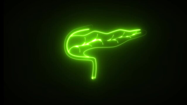 Neon pancreas. Pancreas has both endocrine and exocrine function. This produces so much alkaline fluid.