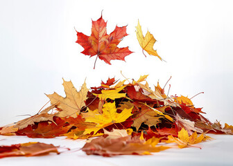 Colorful autumn leaves piled up, isolated on a white background.