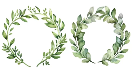 Foto op Plexiglas Green laurel wreaths round for emblem vector illustr © zoni