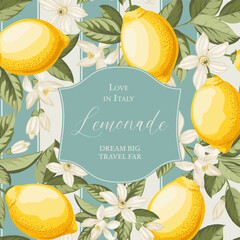 Lemonade from Italy. Vector Illustration Poster Design. - 744927909