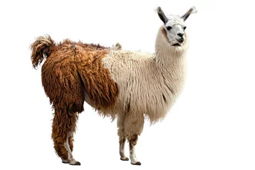 Raamstickers llama with a half of a baby © trimiati