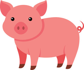 Cute pig vector with pink skin on white background
