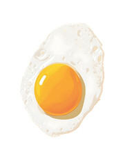 fried egg illustrator cartoon isolated on transparent or white background