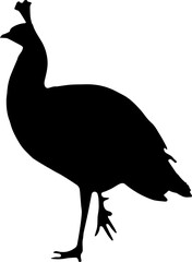 minimal peacock bird vector png silhouette, black color silhouette, peacock png transparent background
