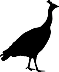 minimal peacock bird vector png silhouette, black color silhouette, peacock png transparent background