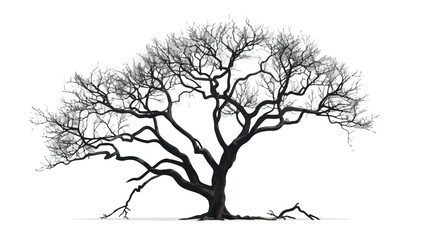 Fototapeta na wymiar Isolated bare tree silhouette vector design isolated