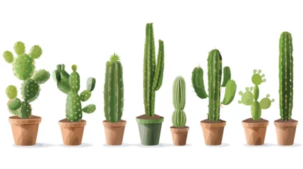 Rolgordijnen Cactus in pot Isolated cactus plant vector design isolated on white