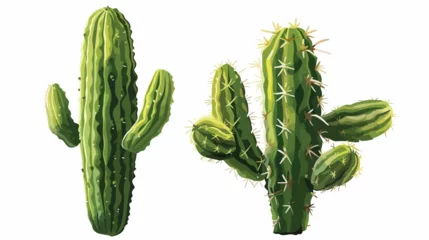 Raamstickers Cactus Isolated cactus plant vector design isolated on white