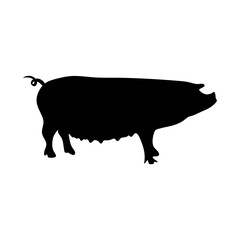 silhouettes of a pig