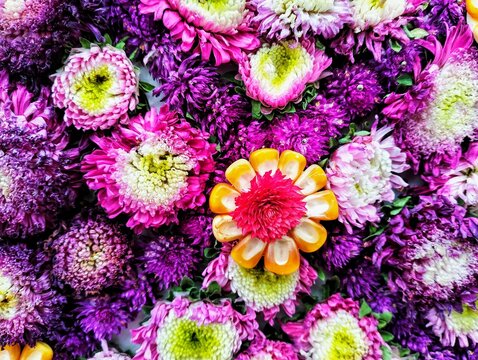 In the picture there are pink and purple carnations, some with white flowers in the middle, arranged together in the center of the picture are orange corn seeds and dark pink amaranth flowers in the m