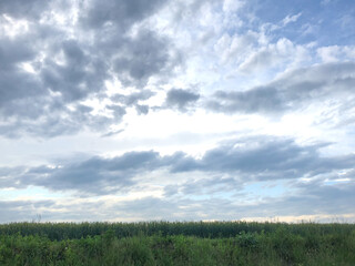 Fototapeta premium clouds over the field