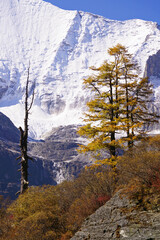 Yangmaiyong Snowpeak, Daocheng, Western Sichuan Province, China