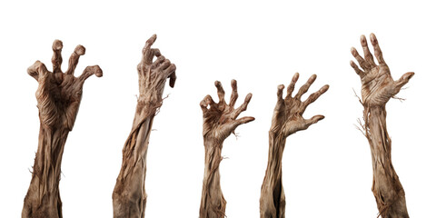 Collection of zombie hand rising from the ground isolated on a white background as transparent PNG