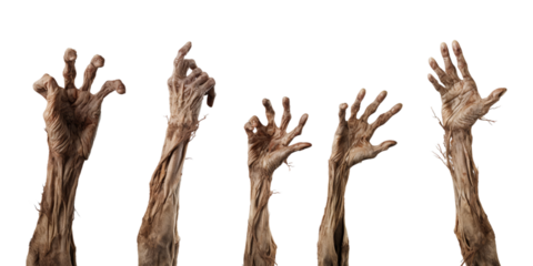 Collection of zombie hand rising from the ground isolated on a white background as transparent PNG