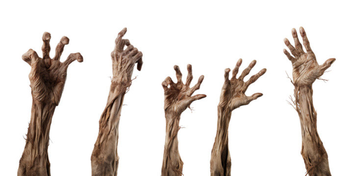 Collection of zombie hand rising from the ground isolated on a white background as transparent PNG