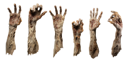 Collection of zombie arm isolated on a white background as transparent PNG