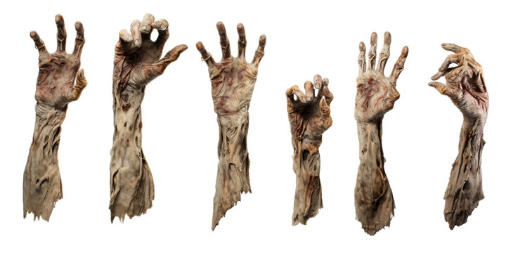 Collection of zombie arm isolated on a white background as transparent PNG