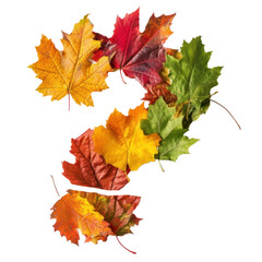 Naklejka na ściany i meble Autumn Inquiry - Question Mark Composed of Colorful Fall Maple Leaves Isolated on White