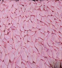 Various parts of fresh chicken meat