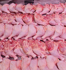 Various parts of fresh chicken meat