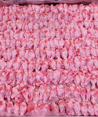 Various parts of fresh chicken meat