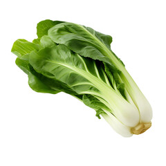 Bok Choy Transparency on a Clear Background, Seamless Integration Assured