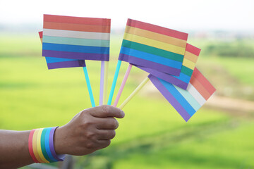 Fototapeta premium Close up hand holds rainbow colors flags. Concept, Lgbtq+ celebration in pride month, June. Symbol of LGBT community around the world.Support human right of gender diversity. 