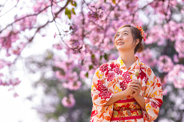 Japanese woman in traditional kimono dress holding sweet hanami dango dessert while walking inside...
