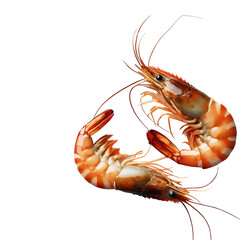 shrimps isolated on transparent background AI Generated 