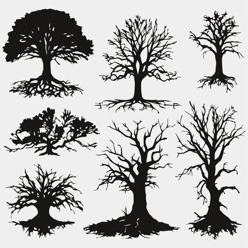 old dark trees with roots dead forest trees silhouettes collection
