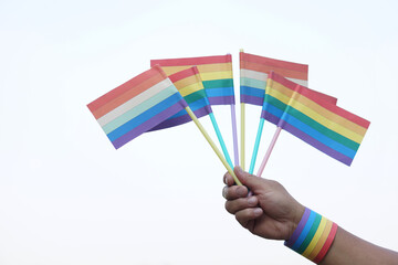 Close up hand holds rainbow colors flags. Concept, Lgbtq+ celebration in pride month, June. Symbol of LGBT community around the world.Support human right of gender diversity.      