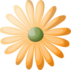 floral elements. Flower and green leaves. Wedding concept