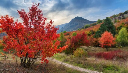 New leaves on the trees are red in autumn