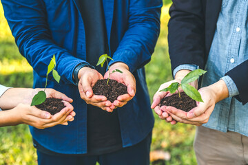 Environmental Collaboration in green business people conserve the green business growing with plants in the hands sustainable development goals. Future environmental ESG modernization development