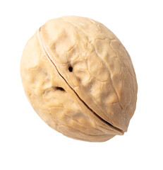 Walnut isolated white background