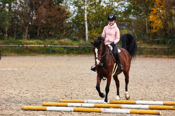 Horse with rider on the riding arena doing ground work with trotting poles.