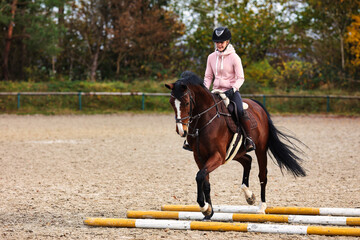 Horse with rider on the riding arena doing ground work with trotting poles.