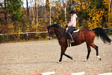 Horse with rider on the riding arena doing ground work with trotting poles.