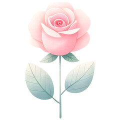 Pink rose flower watercolor clipart with transparent background