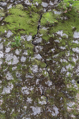 An old cracked stone wall covered with moss