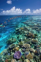 Tourists snorkeling over a colorful coral reef.