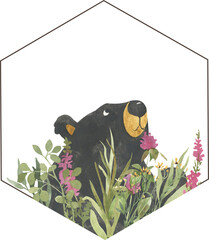 Simple watercolor drawing of a bear for logo, label