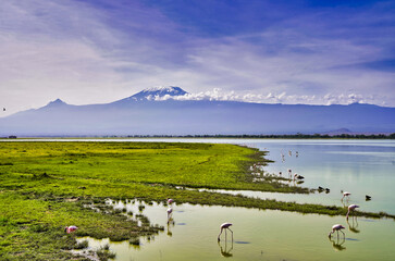 Picture perfect scene of the entire Kilimanjaro range with bright blue skies over serene Lake...