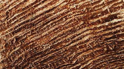 Close up brown Coconut fiber texture banner background, dried old coconut coir top view natural pattern, eco materials for recycling, detail textured wooden surface, dark color, low depth of field
